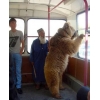 Как повысить уровень жизни?