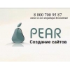 Изготовление сайтов от web - студии PEAR