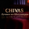 Chivas 12 цена.
