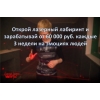 Франшиза лазерного лабиринта.
