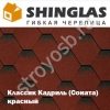 Продам кровельные материалы Tegola,  Katepal,  Shinglas со склада.