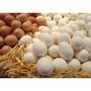 Продам яйца куриные оптом