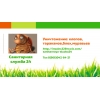 уничтожение клопов,  тараканов.  дезифекция