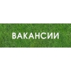 Онлайн Работа для современных людей
