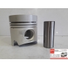 Поршени с пальцами Hyundai HD120/ AeroTown двиг. D6BR 23411-93400