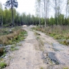 Земельный участок 20 соток ИЖС в Вистино (Кингисеппский)